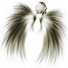 Aieris